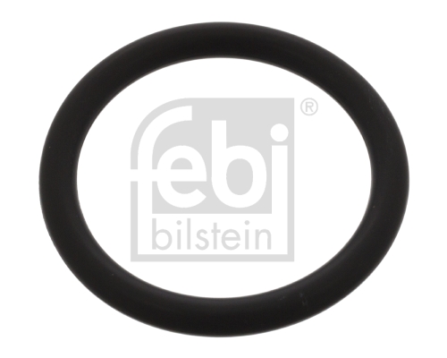 Dichtring fuseepen Febi Bilstein 45369