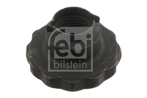 Wielnaafmoer Febi Bilstein 46689