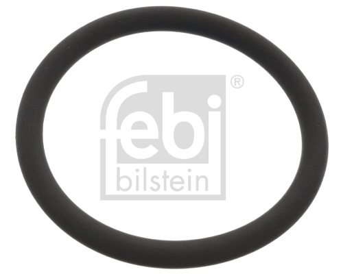 Waterpomppakking Febi Bilstein 48765