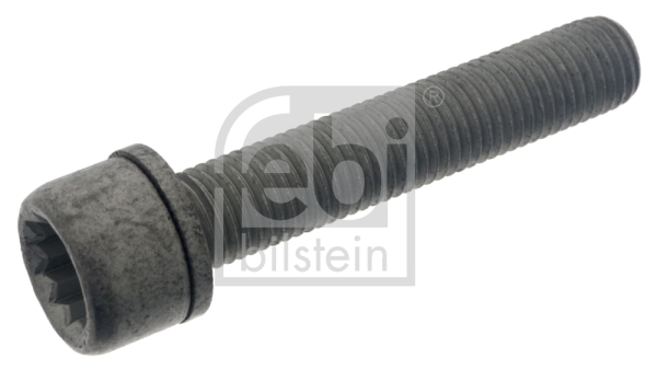 Schroef Febi Bilstein 48817