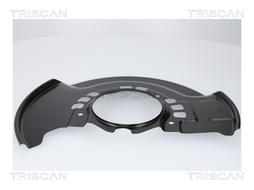 Dekplaat, remschijf Triscan 8125 13136