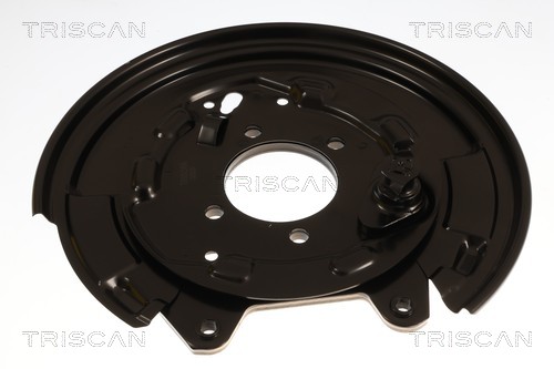 Dekplaat, remschijf Triscan 8125 13221