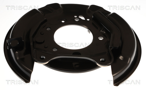 Dekplaat, remschijf Triscan 8125 13233