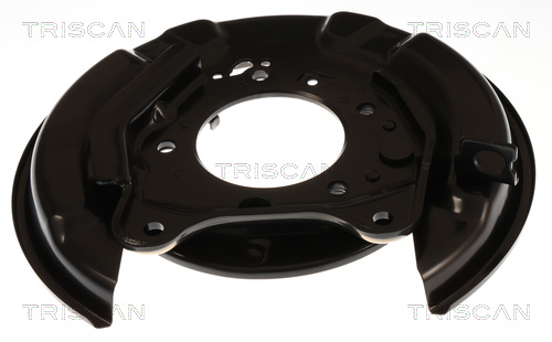 Dekplaat, remschijf Triscan 8125 13234