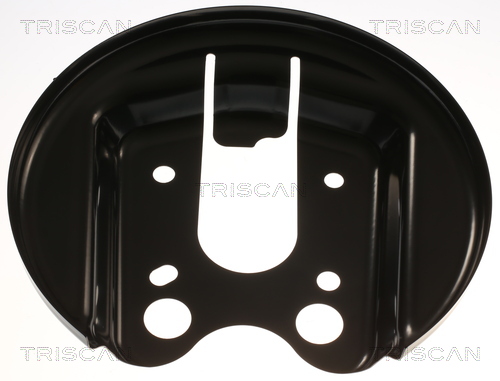 Dekplaat, remschijf Triscan 8125 28209