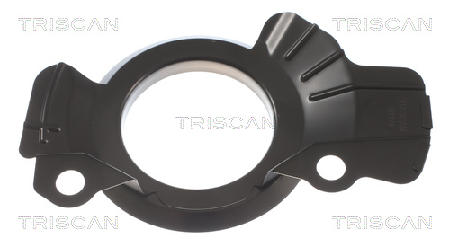 Dekplaat, remschijf Triscan 8125 43112