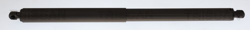 Gasveer, kofferruimte Triscan 8710 11144