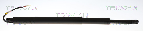 Gasveer, kofferruimte Triscan 8710 11369