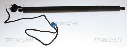 Gasveer, kofferruimte Triscan 8710 23319