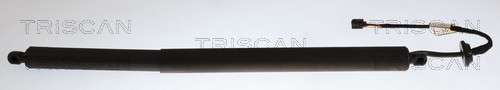 Gasveer, kofferruimte Triscan 8710 27318