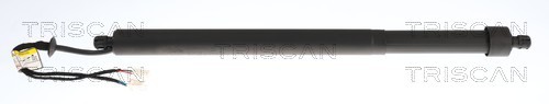 Gasveer, kofferruimte Triscan 8710 28303