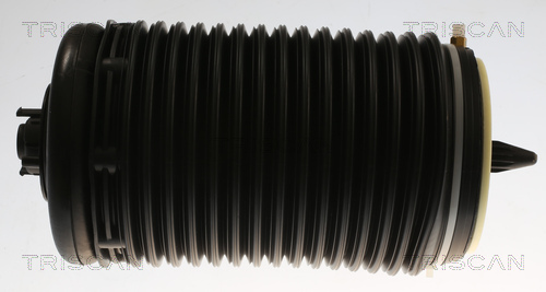 Luchtvering, chassis Triscan 8720 29204