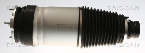 Luchtvering, chassis Triscan 8720 81101