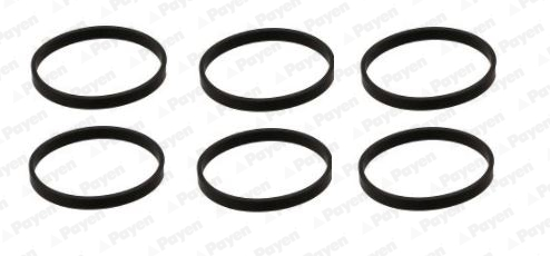 Inlaatspruitstukpakking Payen HA5074