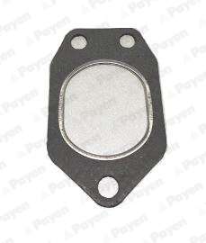 Uitlaatpakking Payen JD6130