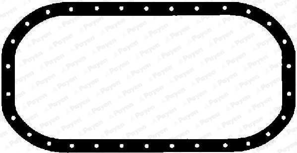 Carter pakking Payen JH016