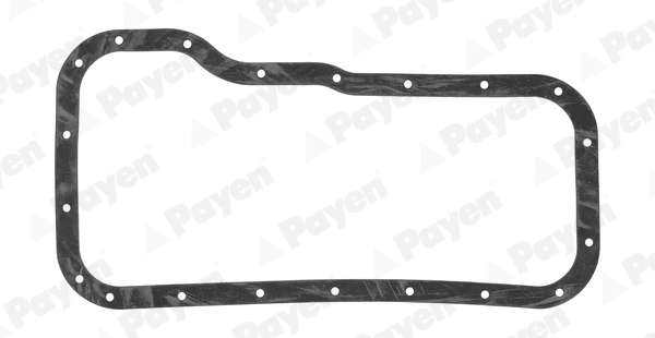 Carter pakking Payen JH5218