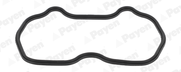 Kleppendekselpakking Payen JM7162