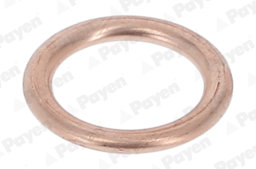 Olie aftapplug dichting Payen KG5030
