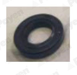 Dichtingsring Payen NJ621