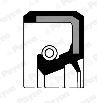 Dichtingsring Payen NJ986