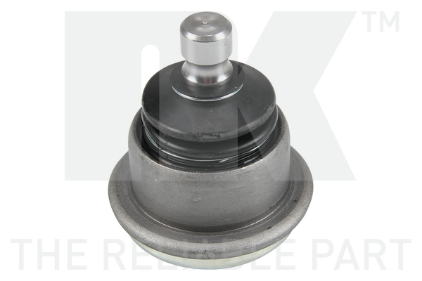 Fuseekogel NK 5049303