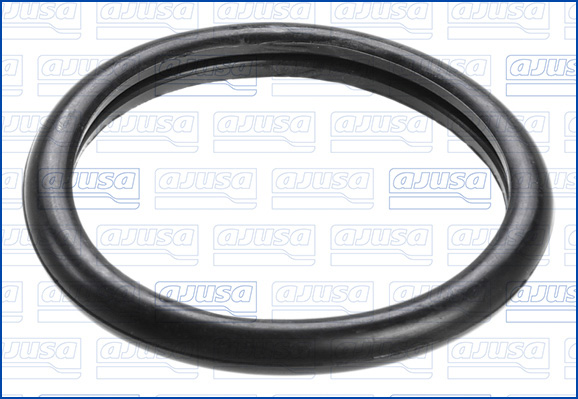 Thermostaat pakking Ajusa 00538100