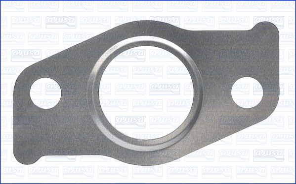 Afdichting, EGR-klep Ajusa 01366300
