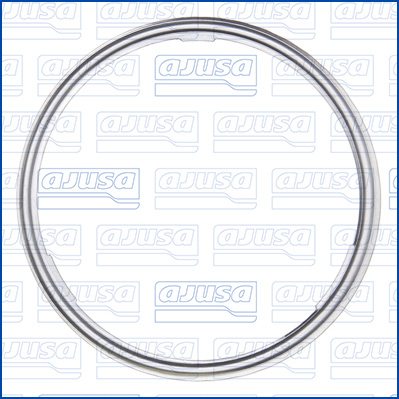 Dichtring EGR-klep leiding Ajusa 01662000