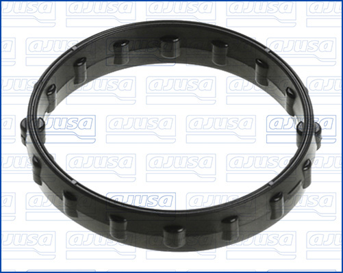 Afdichtring, thermostaatbehuizing Ajusa 01981500