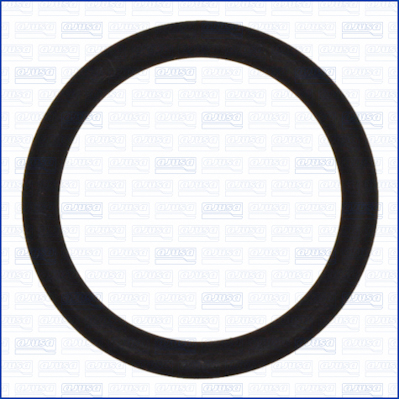 Dichtring, leiding EGR-klep Ajusa 16092600