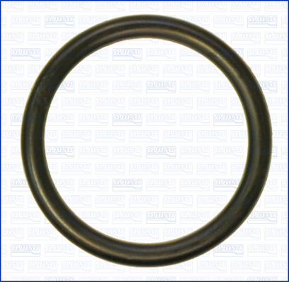 Pakking, thermostaathuis Ajusa 16097400