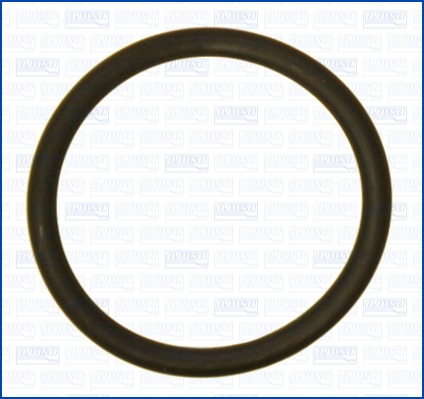 Pakking, thermostaat Ajusa 16560300