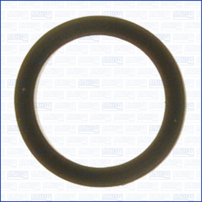 Afdichtring, zuigbuis (oliepomp) Ajusa 24034700