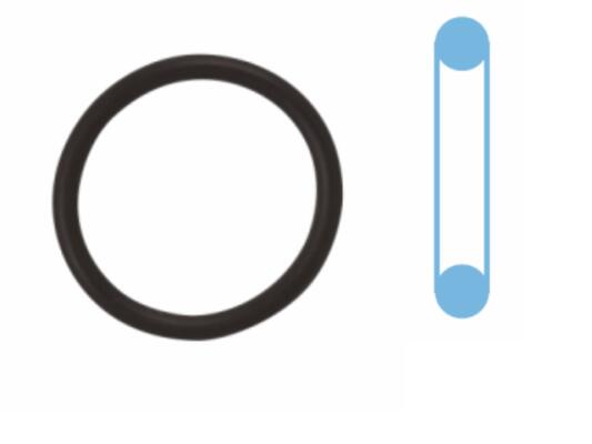 Olie aftapplug dichting Corteco 041118H