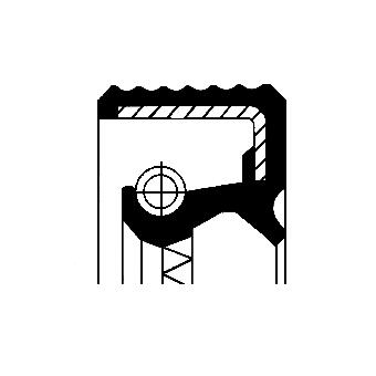 Brandstofpomp pakking Corteco 49418398