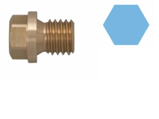 Olie aftapplug / carterplug Corteco 220052H