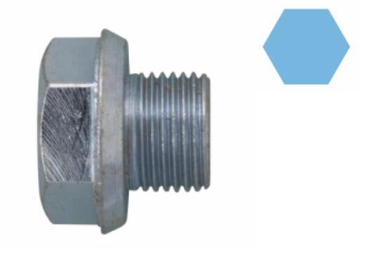 Olie aftapplug / carterplug Corteco 220071H