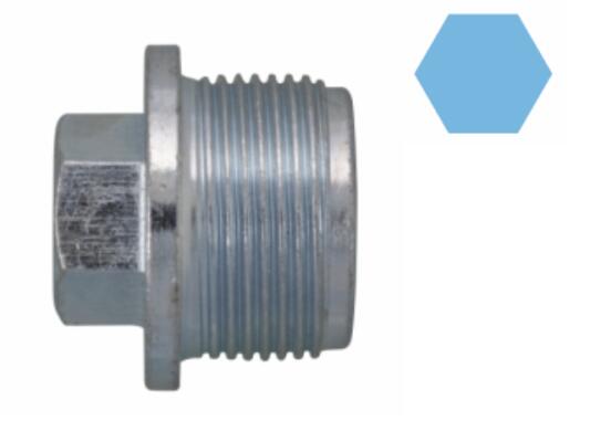 Olie aftapplug / carterplug Corteco 220076H