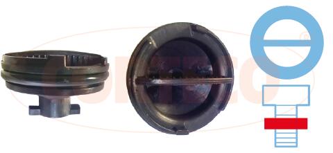 Olie aftapplug / carterplug Corteco 49379183