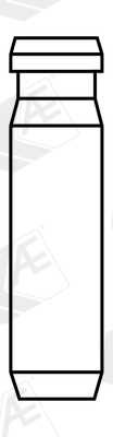 Klepgeleider AE VAG96370