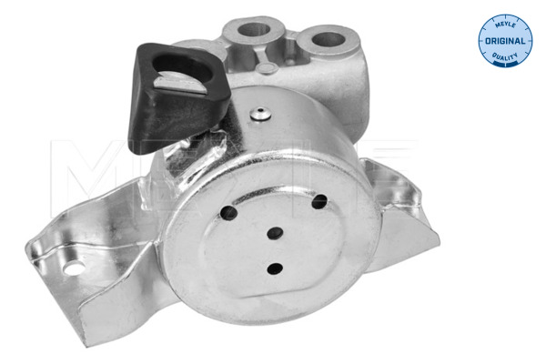 Aslichaam-/motorsteunlager Meyle 214 030 0063