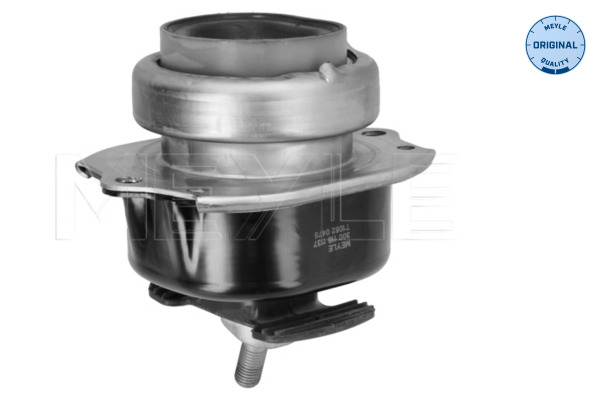 Aslichaam-/motorsteunlager Meyle 300 118 1137