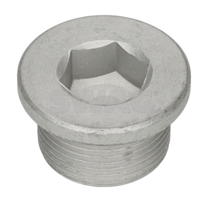 Olie aftapplug versnellingsbak Swag 33 11 0236