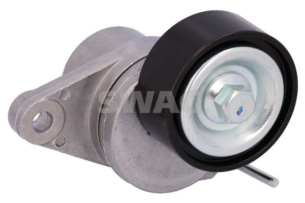 Riemspanner, Poly V-riem Swag 33 11 3836