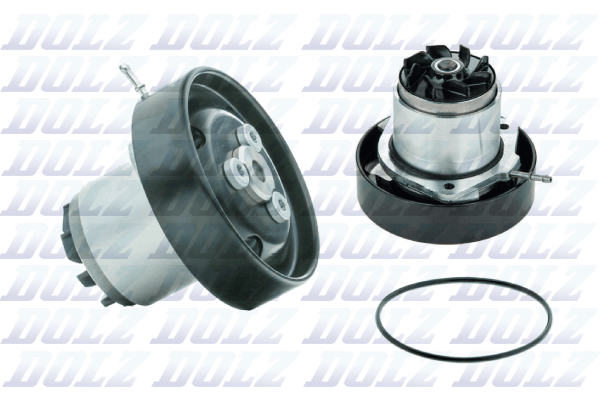 Waterpomp Dolz A265V