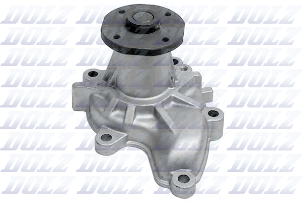 Waterpomp Dolz N101