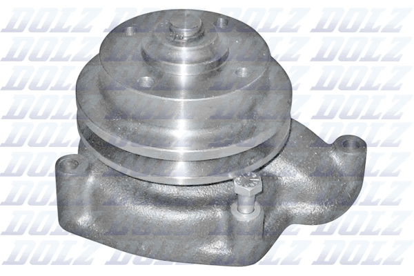 Waterpomp, aandrijfaccu Dolz P303