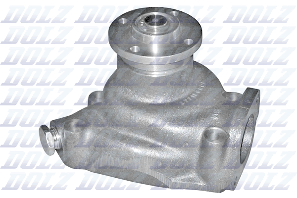 Waterpomp Dolz P317