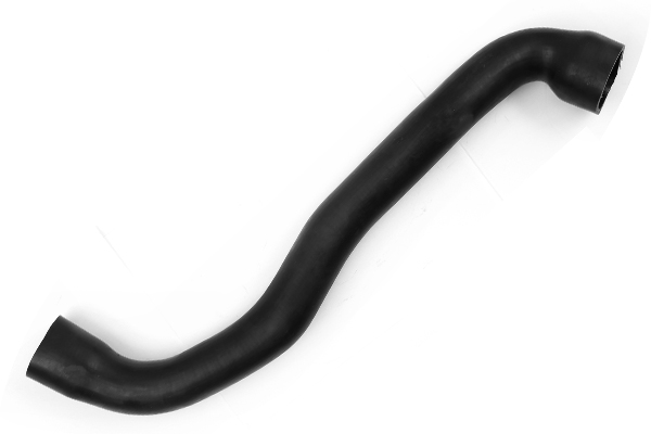 Laadlucht-/turboslang Bugiad 81956